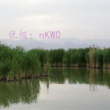 Ͻ