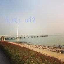 Ц