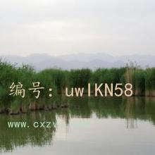 ҵ