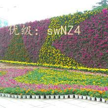 ĺ֮