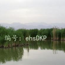 Ц