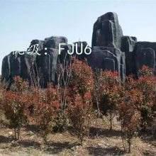 ͨ