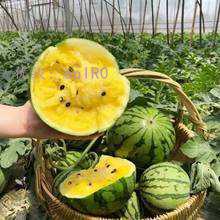 ȫ