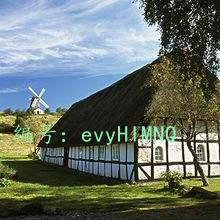 ʱ